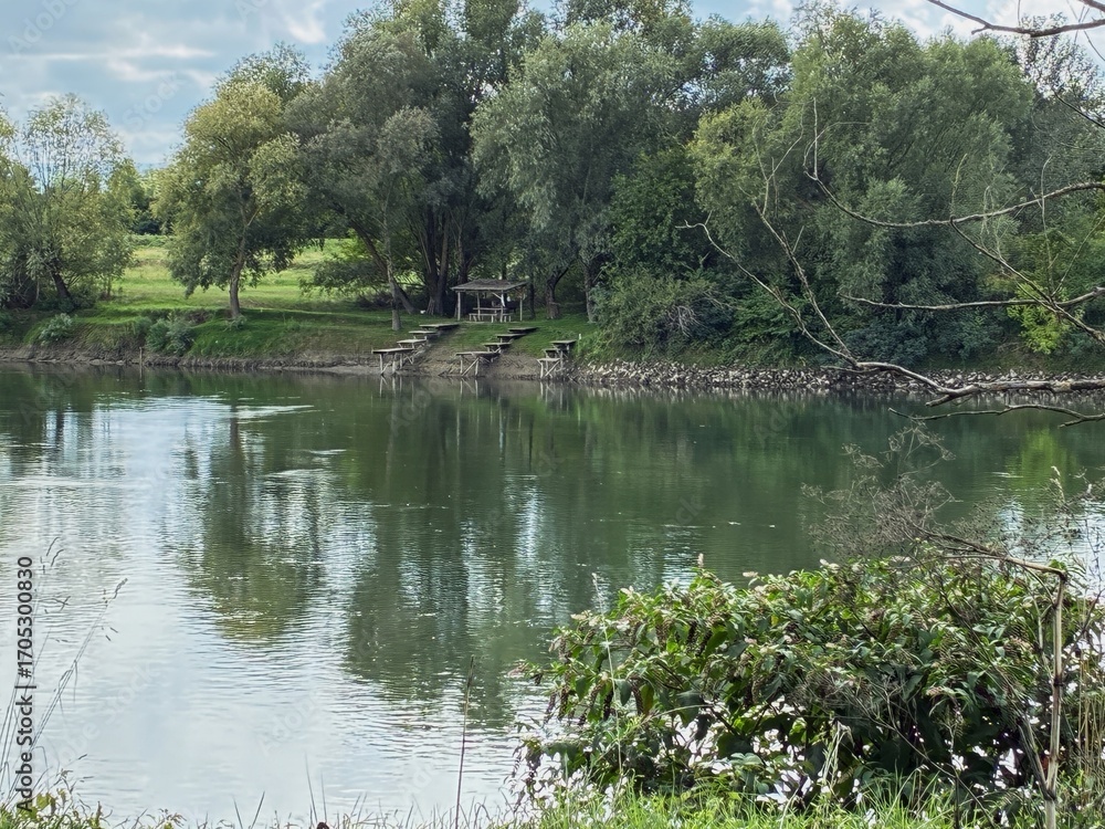 Obraz premium Drava River bank.