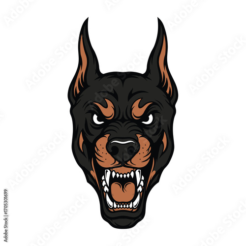Powerful Doberman head with an aggressive growl. Vector art of a snarling guard dog ideal for mascots, emblems, or logos