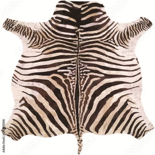 zebra isolated on white background
