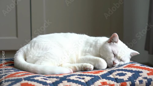 Wallpaper Mural Sleeping white cat resting on a patterned pillow indoors, relaxing at home, serene feline Torontodigital.ca