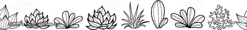Decorative flourish and ornamental border elements in a hand drawn sketch style