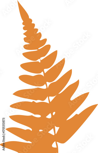 Orange Silhouette of a Fern Frond on White leaf leaves