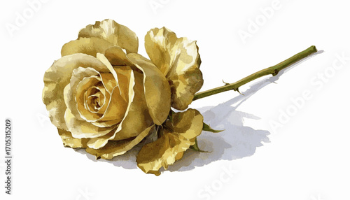 Watercolor Gilded Petals Golden Rose isolated vector illustration svg