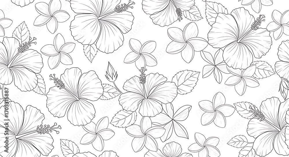 Obraz premium Delicate floral pattern with hibiscus and plumeria flowers outlines