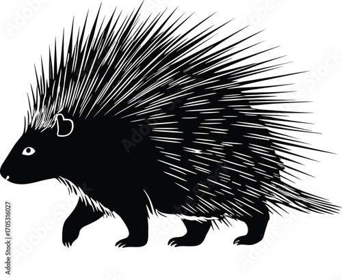 Porcupine silhouette illustration, black and white walking animal vector with sharp quills for wildlife design, education, and stock content
