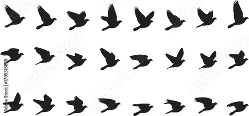 Silhouettes of Birds in Flight Pattern Formation Freedom and Graceful Movement Symbolizing Hope and Tranquility Ideal for Design and Background