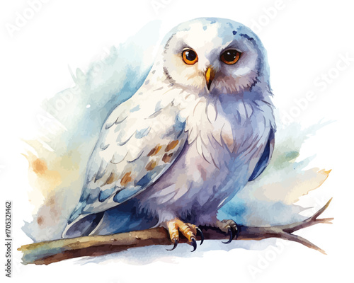 Watercolor snowy owl sitting on branch vector illustration 