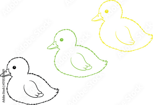 Three adorable fluffy ducklings in outline, one black, one green, one yellow, on white background