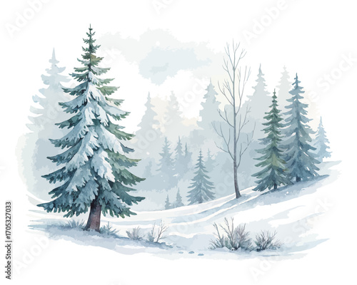 Watercolor snowy forest with pine trees vector illustration isolated on white background