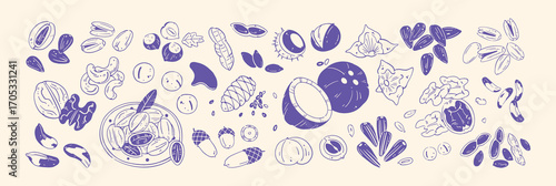 Drawing set of different nuts with shells. Crunchy snacks- walnut, pistachios, coconut, peanut, cashew, almond, sunflower seeds. Food with nutshell. Flat isolated hand drawn vector illustrations