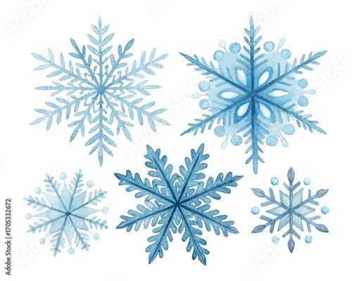 Watercolor snowflakes in blue tones vector illustration isolated on white background