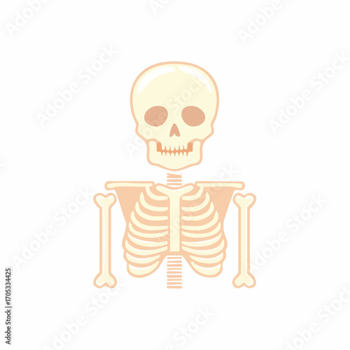 Simple Cartoon Skeleton Illustration.