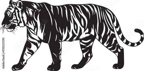 Stylized Black and White Tiger Illustration Walking in Profile