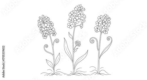 A delicate black and white illustration of three flowering plants emerging from the ground.