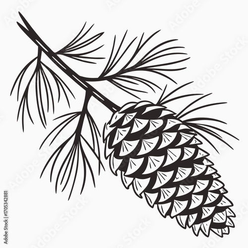 branch of a tree with leaves