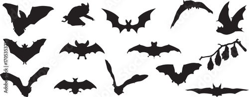 bat silhouette vector, flying bat shadow, halloween bat outline, spooky bat icon, vampire bat design, cartoon bat clipart, night bat doodle, scary bat silhouette, wild bat vector, horror bat logo