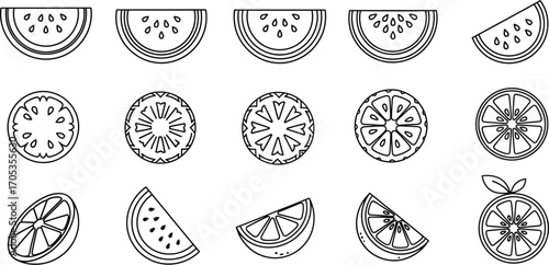 Set of various fruit slices in outline style, including watermelon, orange, and other citrus fruits