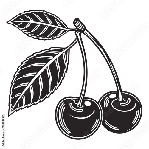 cherry tree vector illustration