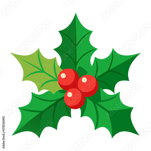christmas holly berry vector