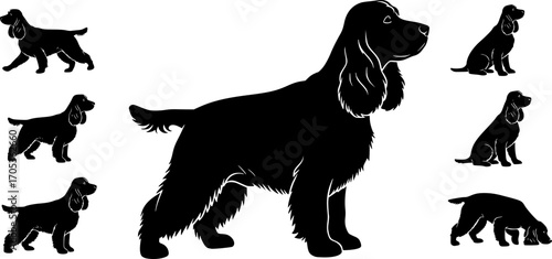 Cocker Spaniel dog silhouettes, Cocker spaniel silhouette, Cocker spaniel animal svg, Cocker spaniel vector.