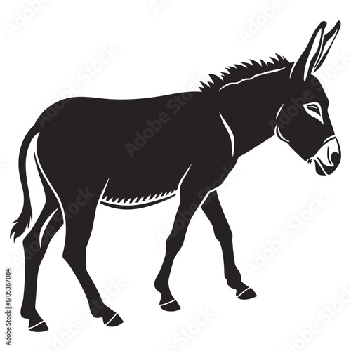 vector illustration of a donkey