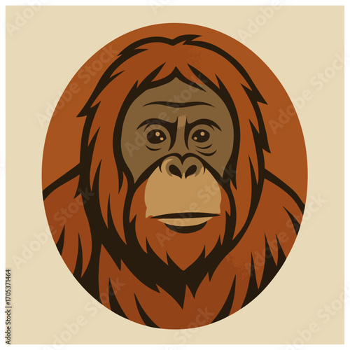 Orangutan face portrait illustration