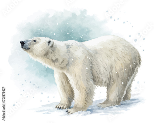 Watercolor polar bear with snow vector illustration isolated on white background