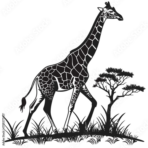 giraffe vector illustration