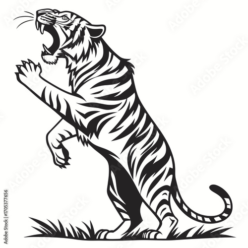 tiger vector illustration