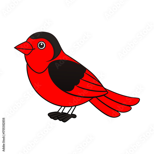 red-winged-blackbird-full-body