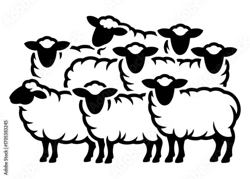 Sheep on a white background. Vector illustration of a flock of sheep.