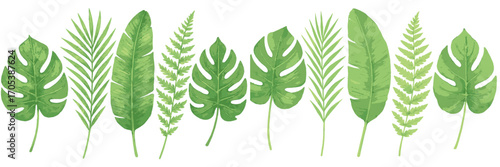 Lush tropical leaves and ferns collection on white background