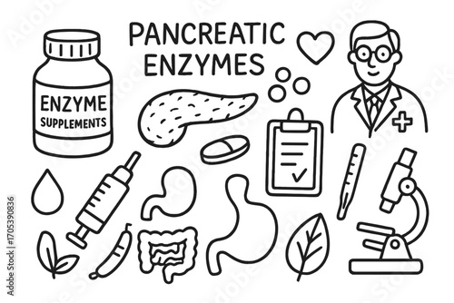 Pancreatic Enzyme Doodle. Hand-drawn doodle illustration pancreatic enzymes enzyme supplements enzyme bottle, pill, pancreas,