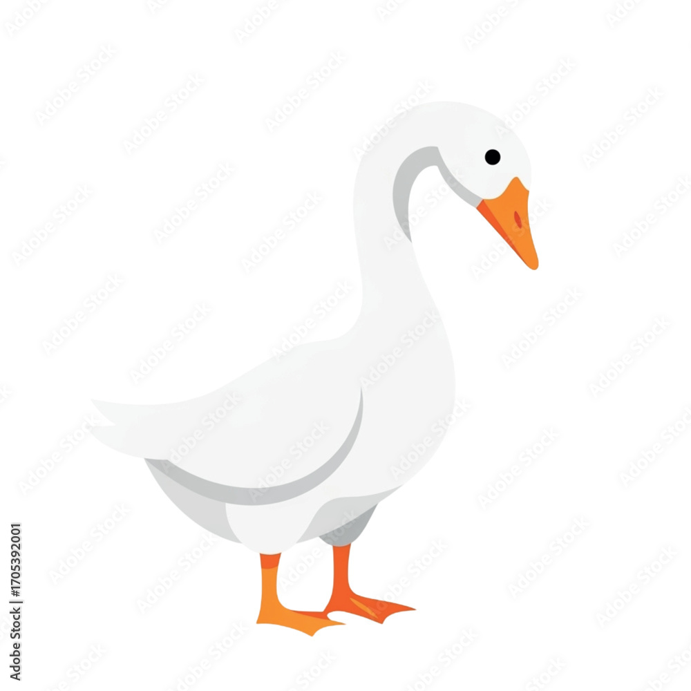 Obraz premium A simple white goose standing on a white background.