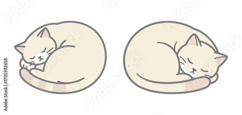 Two hand drawn cute cat sleeping curled up. Outline art pet illustration for domestic animals and relaxation.