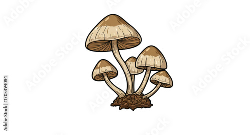 Bud mushrooms