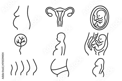 Pregnancy Doodle Icons. Hand-drawn doodle illustration abdomen in pregnancy baby bump, uterus icon, fetus outline, placenta symbol
