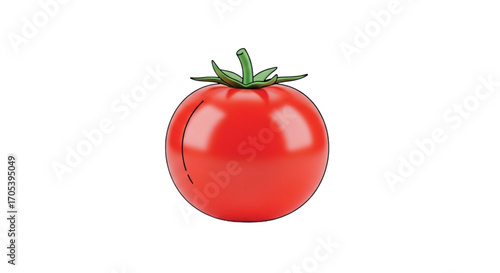 A Single Ripe Red Tomato with Green Stem.