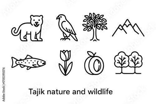 Tajik Nature Icons. Outline icon set of Tajik nature and wildlife: snow leopard, falcon, walnut tree, river trout, mountain peaks,