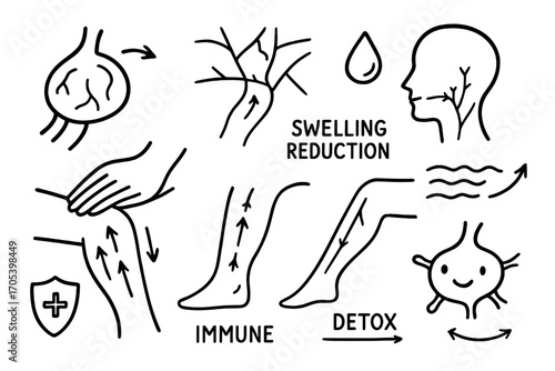 Lymphatic Flow Diagram. Hand-drawn doodle illustration lymphatic drainage lymph node, drainage arrow, lymphatic map, fluid icon,