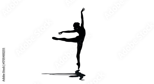 Silhouette of a ballet dancer in a graceful pose.