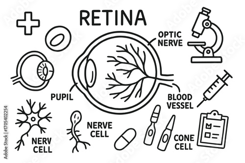 Retina Anatomy Doodle. Hand-drawn doodle illustration retina anatomy retina, eye, optic nerve, pupil, iris, lens, blood vessel,