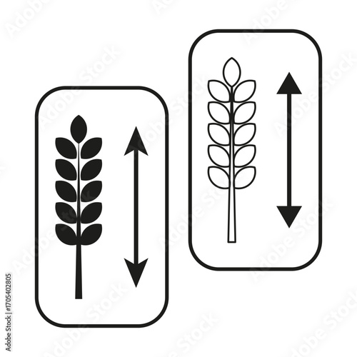 Wheat ear growth. Farming scale illustration. Agriculture business concept. Vector food symbol. EPS 10.