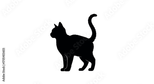 Black Cat Silhouette Standing Proudly.