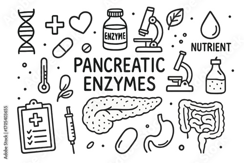 Pancreatic Enzyme Doodle. Hand-drawn doodle illustration pancreatic enzymes production pancreas, enzyme bottle, DNA strand,
