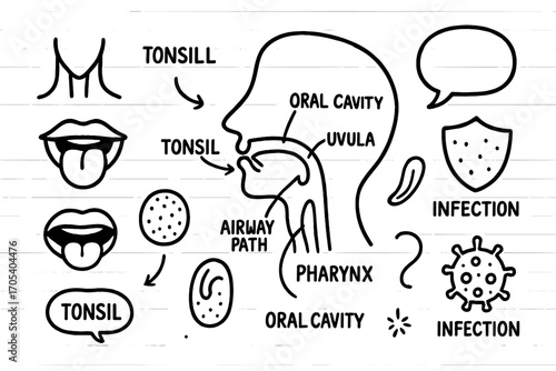 Throat Anatomy Doodle. Hand-drawn doodle illustration throat and tonsils throat, tonsils, voice box, uvula, tongue, esophagus,