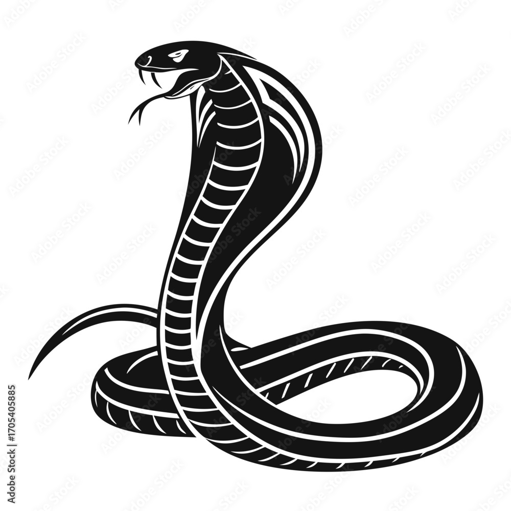 Fototapeta premium black and white snake