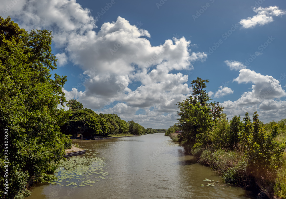 Fototapeta premium A serene stream in The Hague Uithof area flows gently, lined with lush green trees on both sides, while fluffy clouds dot a bright blue sky. The scene is peaceful and idyllic.