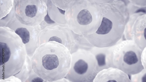 Mesenchymal stem or stromal cells (MSC). Embryonic stem cells concept. Targeting cancer with engineered mesenchymal stem cells. MSC based immunotherapy and cancer treatment
