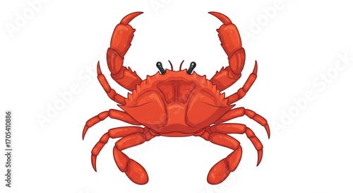 Red Crab Illustration with Claws Raised.
